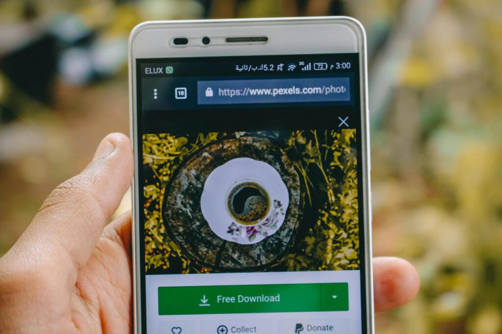 A close-up of a smartphone screen showing a secure digital wallet interface with a padlock symbol.