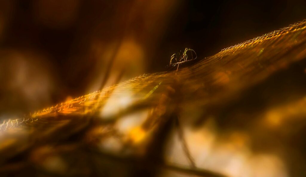 A detailed close-up of a physical Ethereum cryptocurrency coin with a reflective surface.