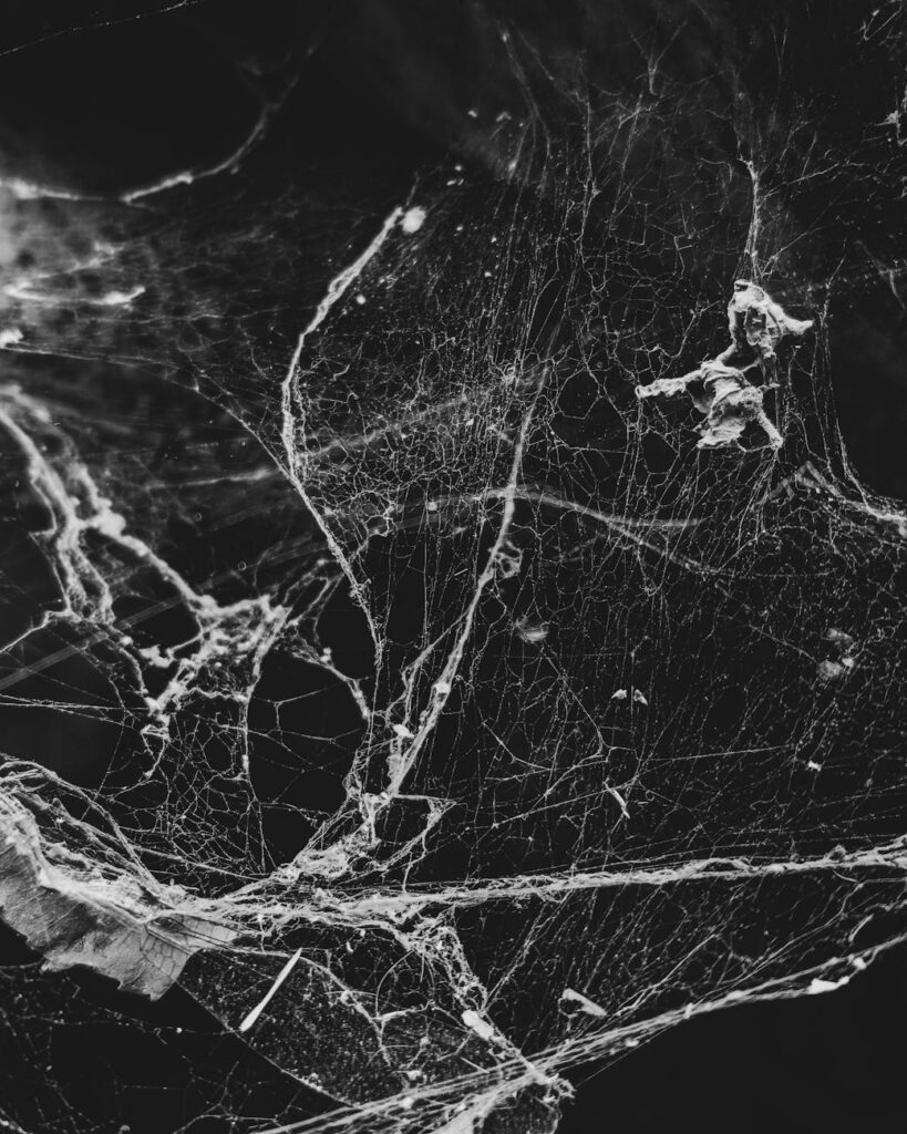 An abstract visualization of a decentralized blockchain network with interconnected nodes.