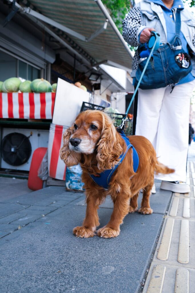 Close-up of a digital screen showing a bright green upward arrow, symbolizing positive crypto market growth.