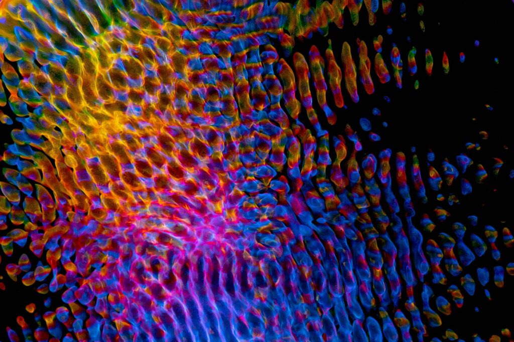 A financial analyst in a dark room monitoring real-time cryptocurrency price charts on several computer monitors.