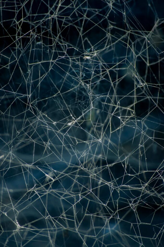 An abstract digital graphic showing interconnected nodes and lines, symbolizing a decentralized network.