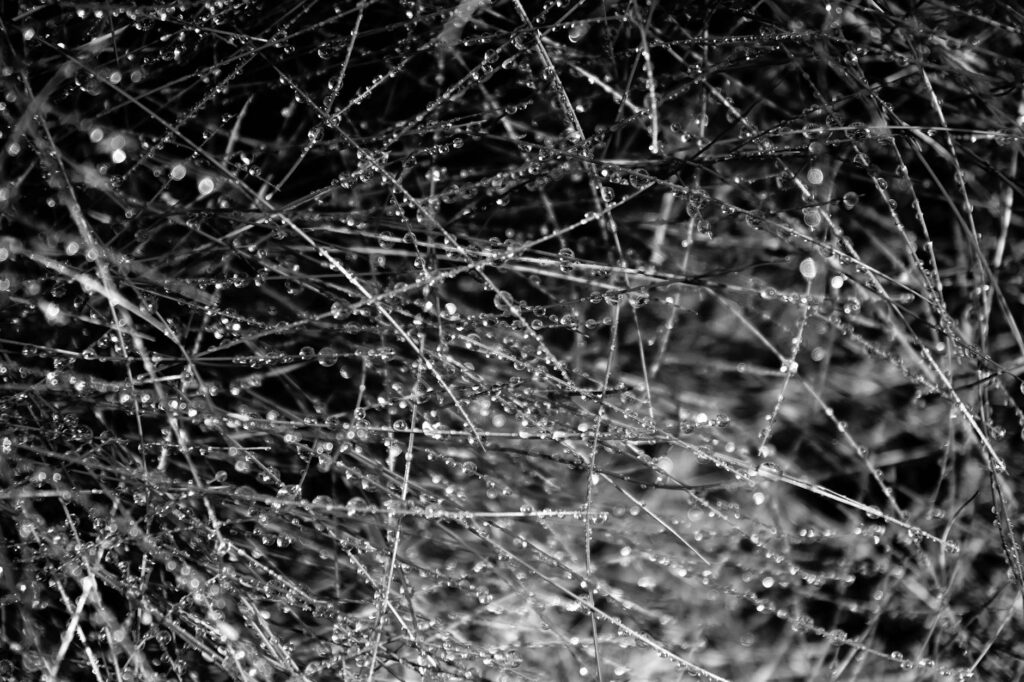 An abstract visualization of a decentralized network with glowing points connected by lines, representing blockchain interoperability.