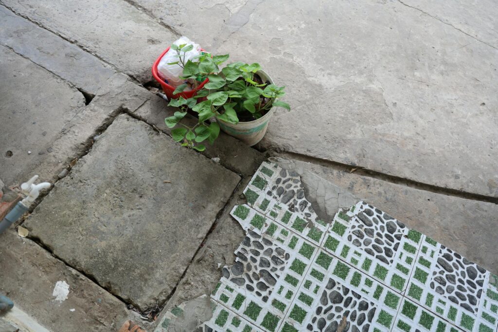 A hopeful image of a small green plant breaking through a concrete sidewalk, symbolizing resilience and growth during hard times.