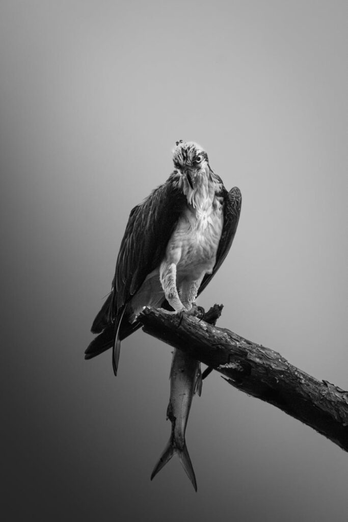 A metaphorical image of a complex maze representing the different paths in the crypto ecosystem.