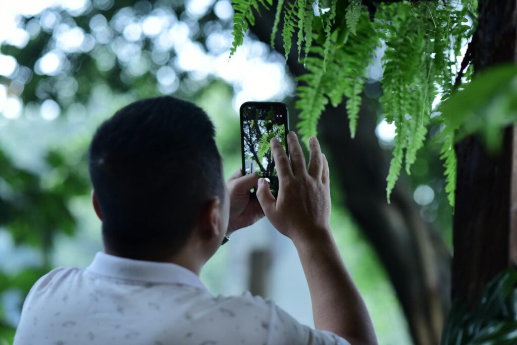 A close-up of a hand holding a phone, executing a crypto trade on an app with a rising green chart.