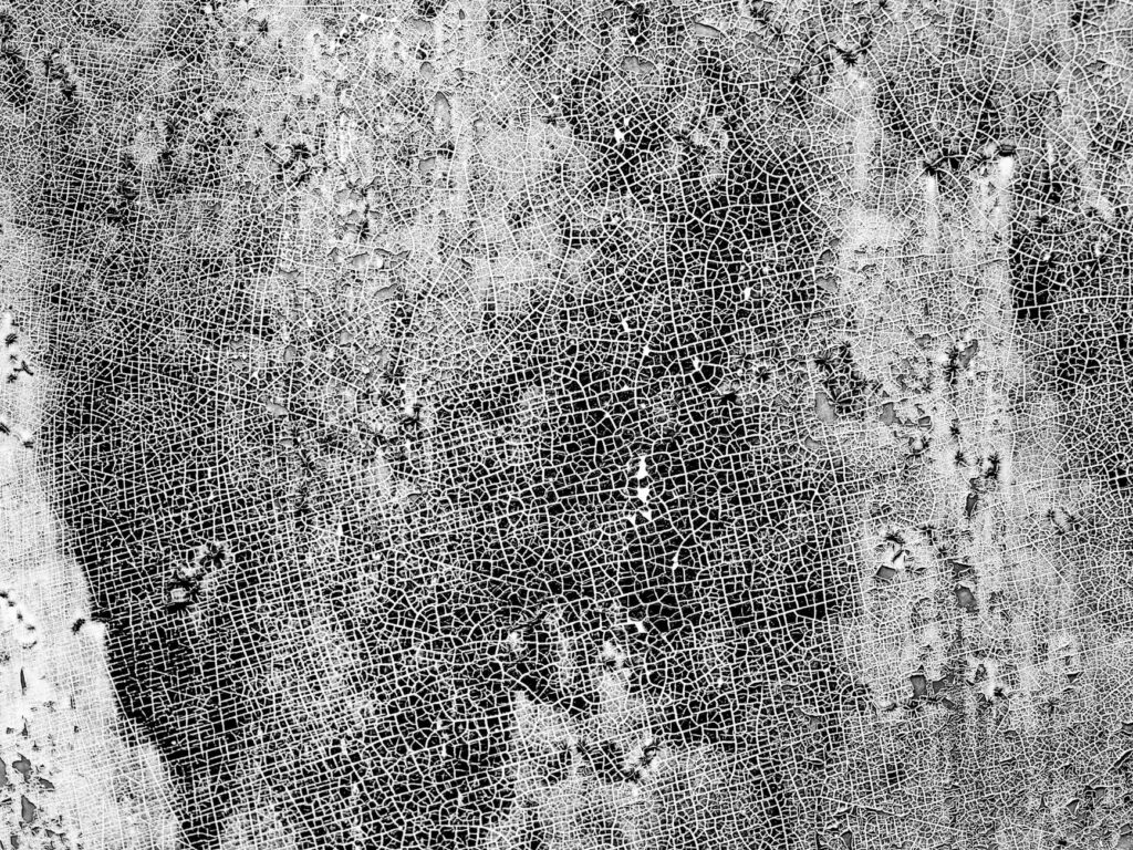 An abstract visualization of glowing, interconnected lines and nodes symbolizing a decentralized network.